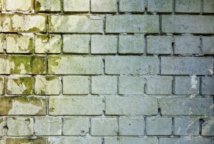Quick Mold Removal Tips